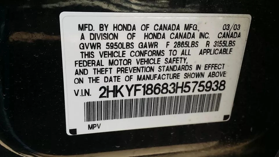 2003 2004 2005 HONDA PILOT TAILGATE TRUNK LID HATCH LIFTGATE TAIL GATE