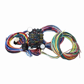 21 Circuit Wiring Harness Street Universal Wire Door Locks Radio Power Windows