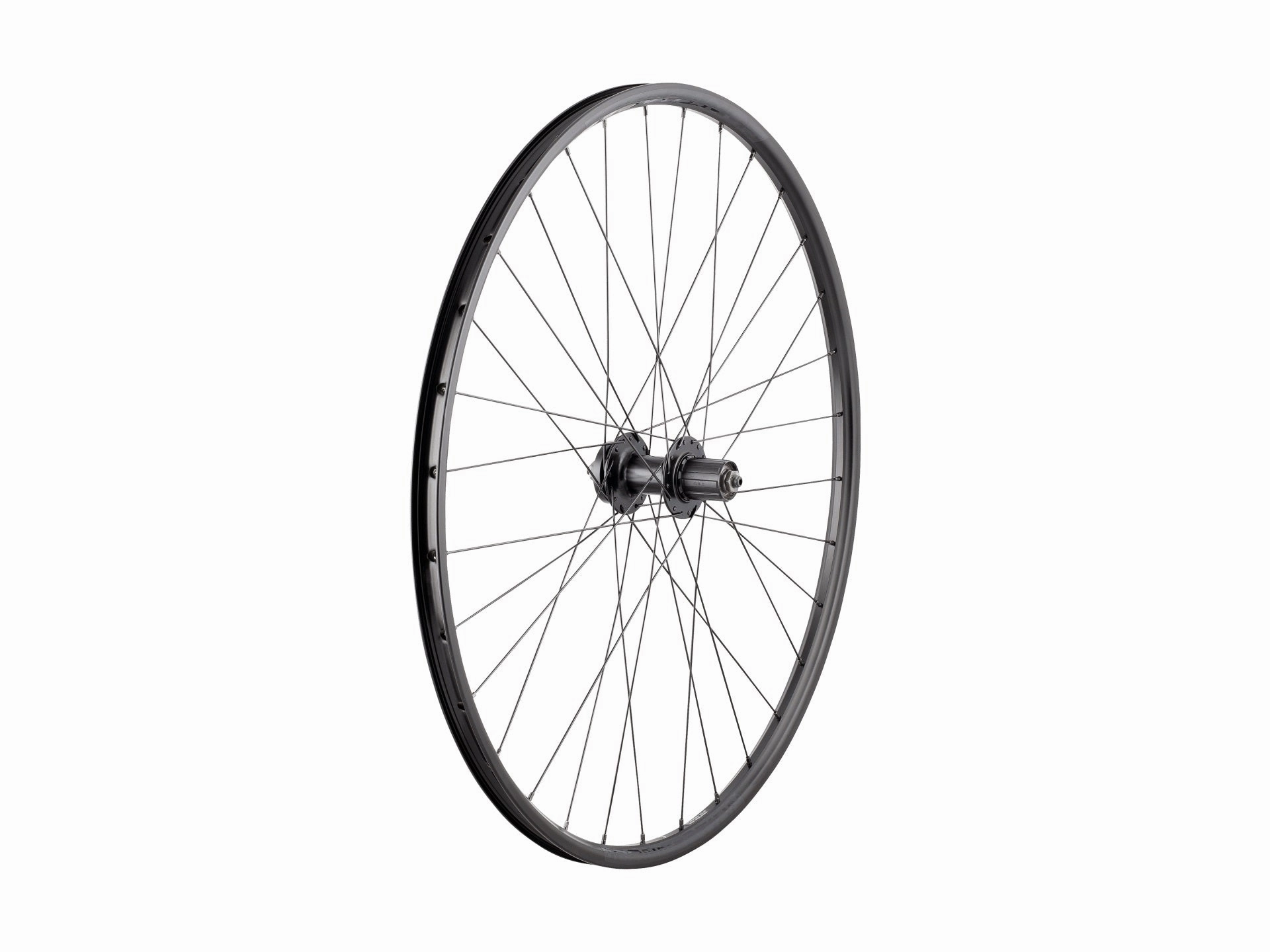 Bontrager Connection QR 6-Bolt Disc 29" Wheel