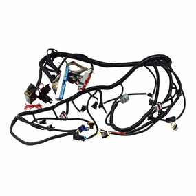 Standalone Wiring Harness W-4L60E DBC Compatible With 4.8 5.3 6.0 GM LS LS1 LS6 LS Truck Swap Vortec 1999-2003