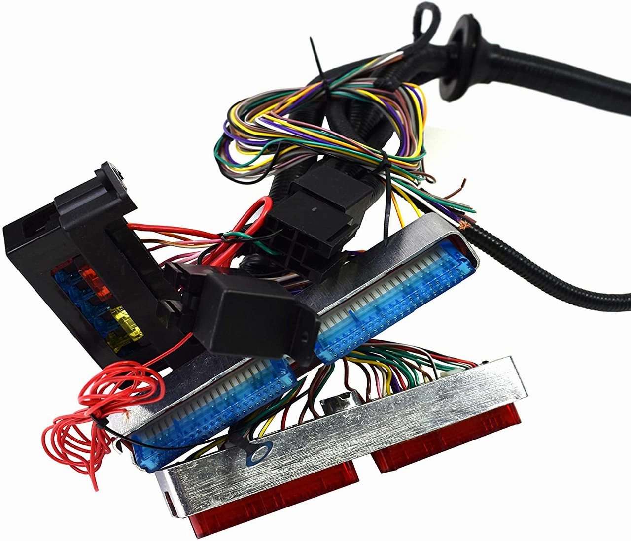 Standalone Wiring Harness W-4L60E DBC Compatible With 4.8 5.3 6.0 GM LS LS1 LS6 LS Truck Swap Vortec 1999-2003